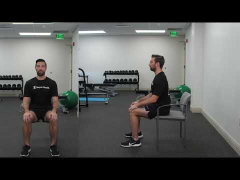 Sit-to-Stand video demo