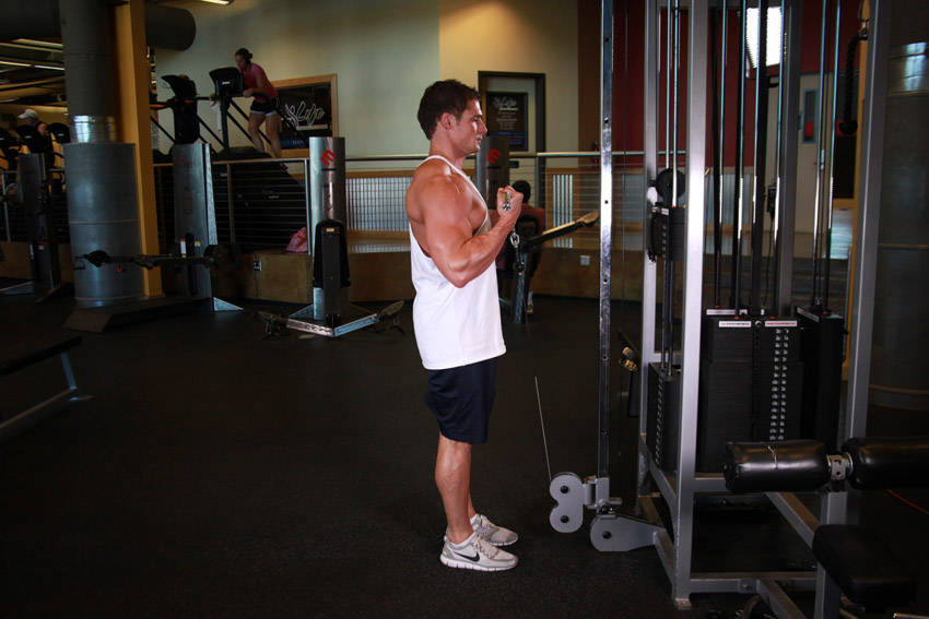 Cable Bicep Curls: Ending position