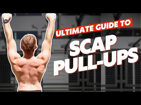 Scapular Pull-Ups video demo