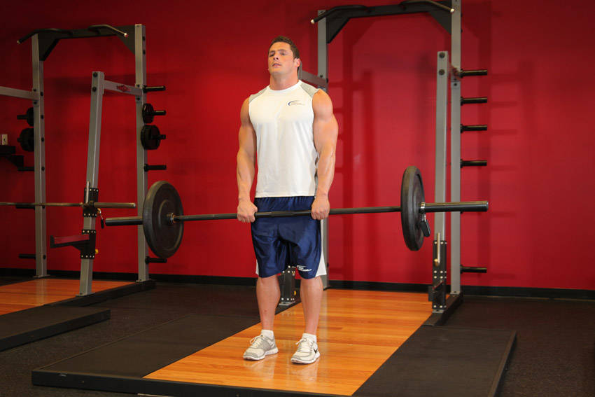 Barbell Row: Ending position