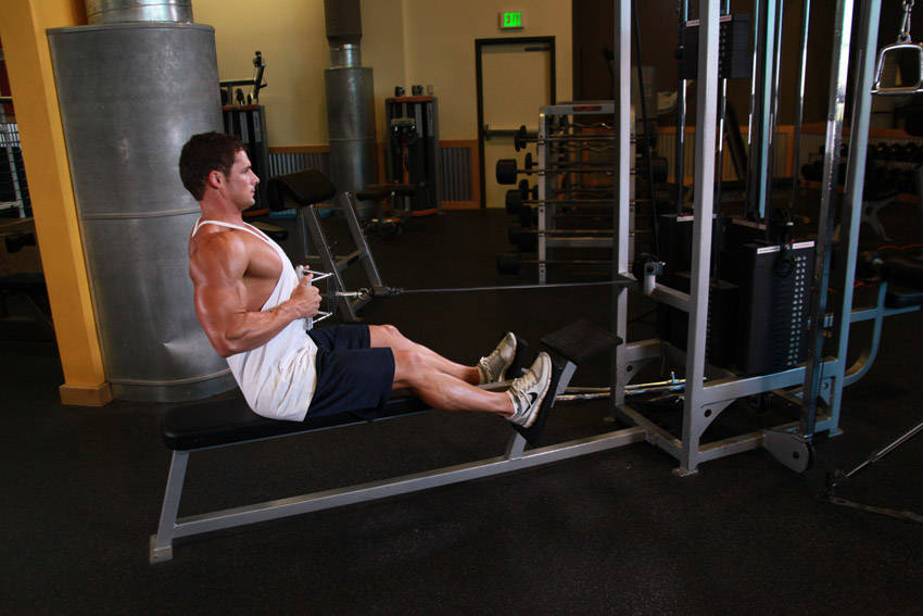 Seated Cable Rows: Ending position