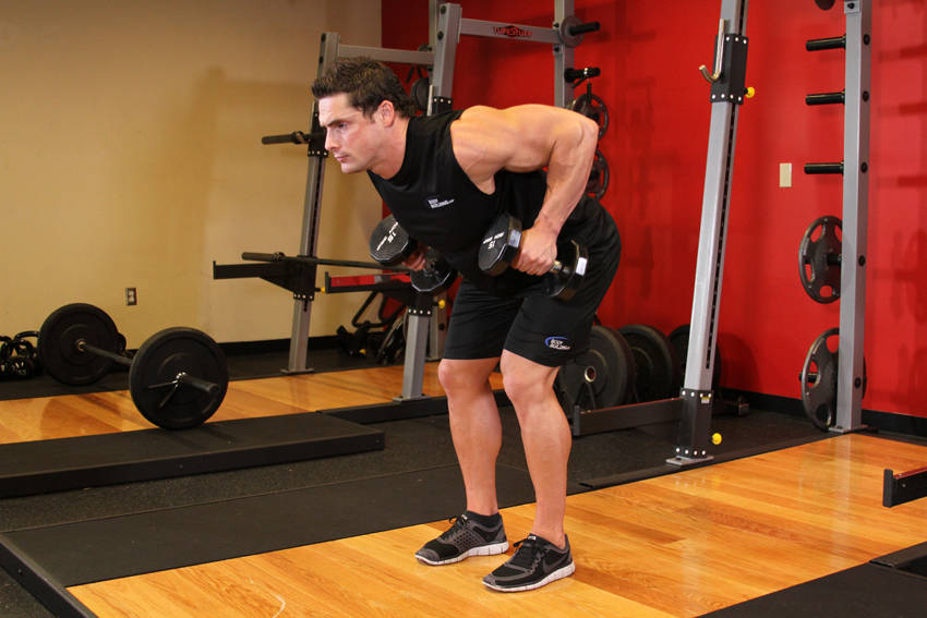 Bent Over DB Row: Ending position