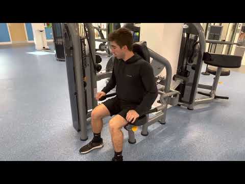 Seated Dip Machine video demo