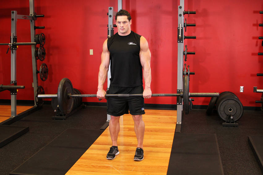 Romanian Deadlifts: Ending position