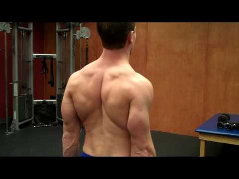 Shrugs video demo
