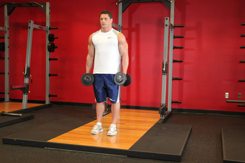 Bicep Curls: Starting position