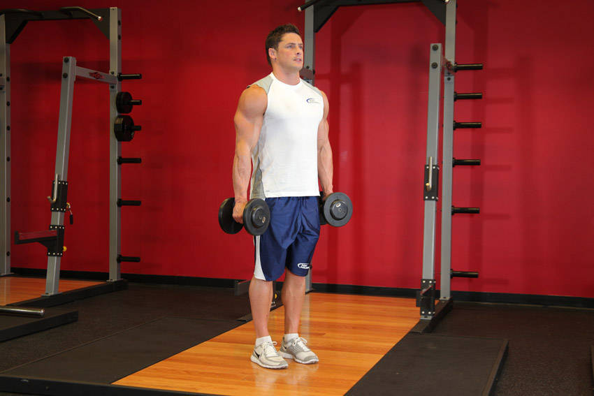 Hammer Curl: Starting position