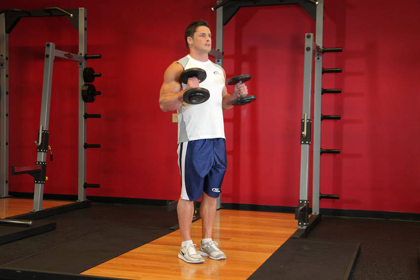 Hammer Curl: Ending position