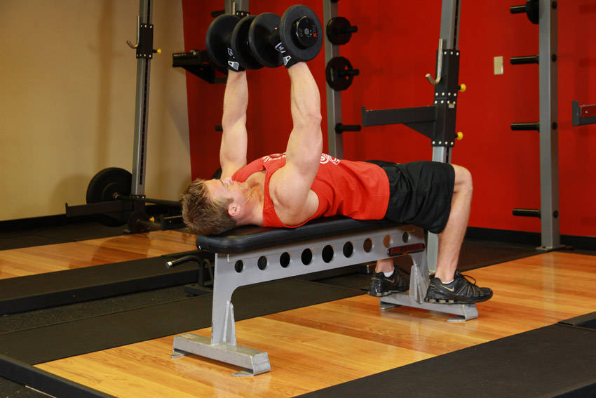 Dumbbell Bench Press: Ending position