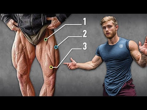 Leg Extension video demo