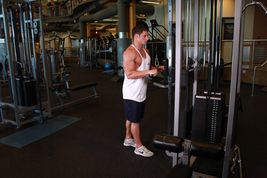 Triceps Pushdown: Starting position