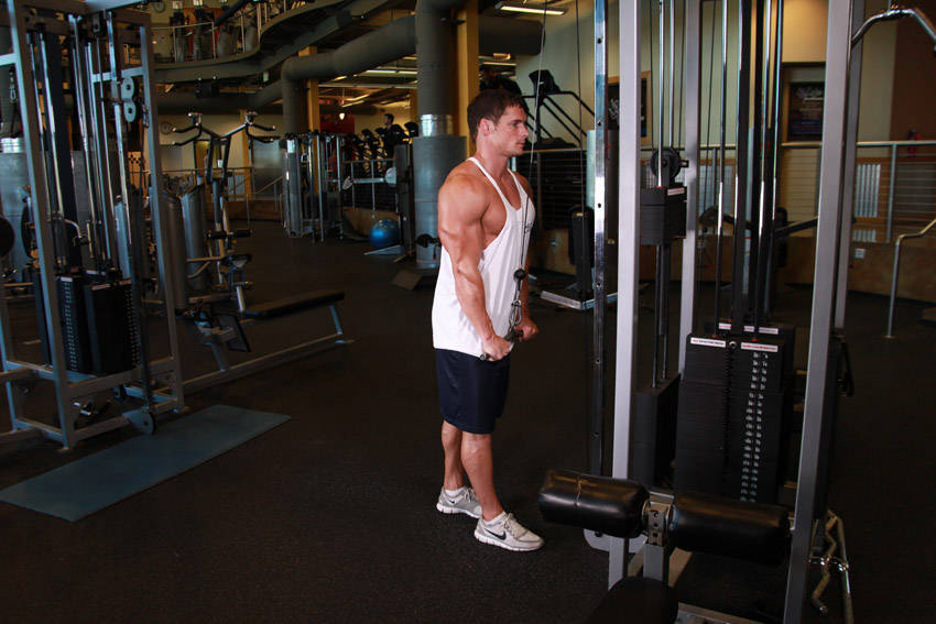 Triceps Pushdown: Ending position