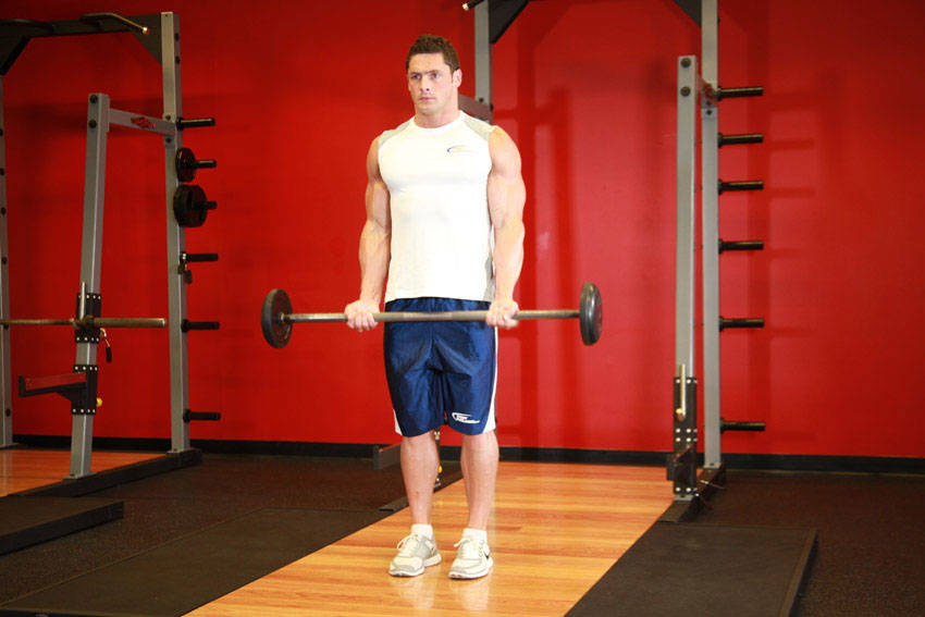 Barbell Curl: Starting position