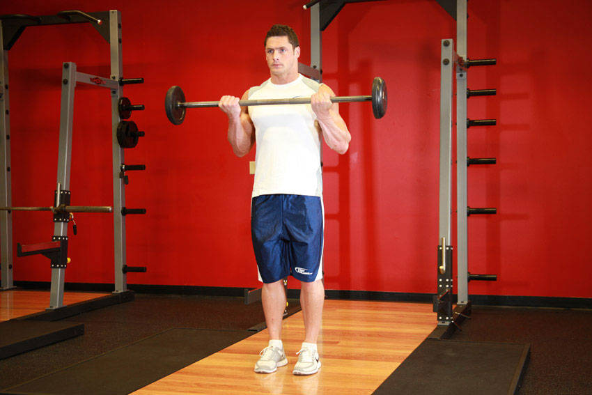 Barbell Curl: Ending position