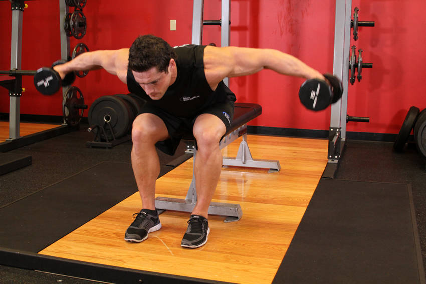 Bent-Over Rear Delt Raise: Ending position