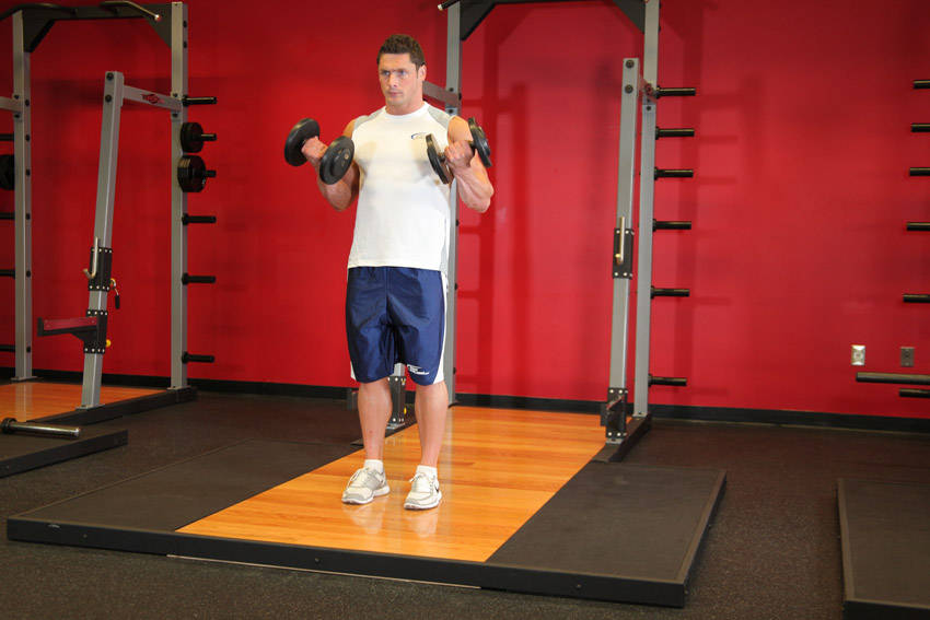 Dumbbell Curls: Ending position