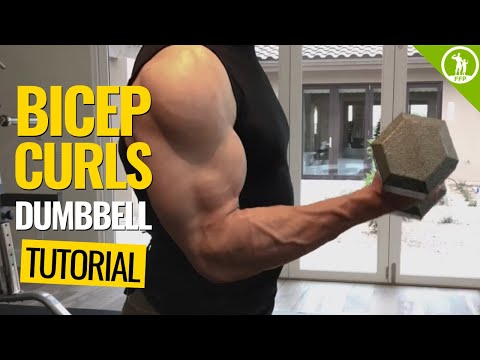 Dumbbell Curls video demo
