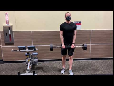 Cambered Bar Curls video demo