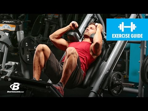 Hack Squats video demo
