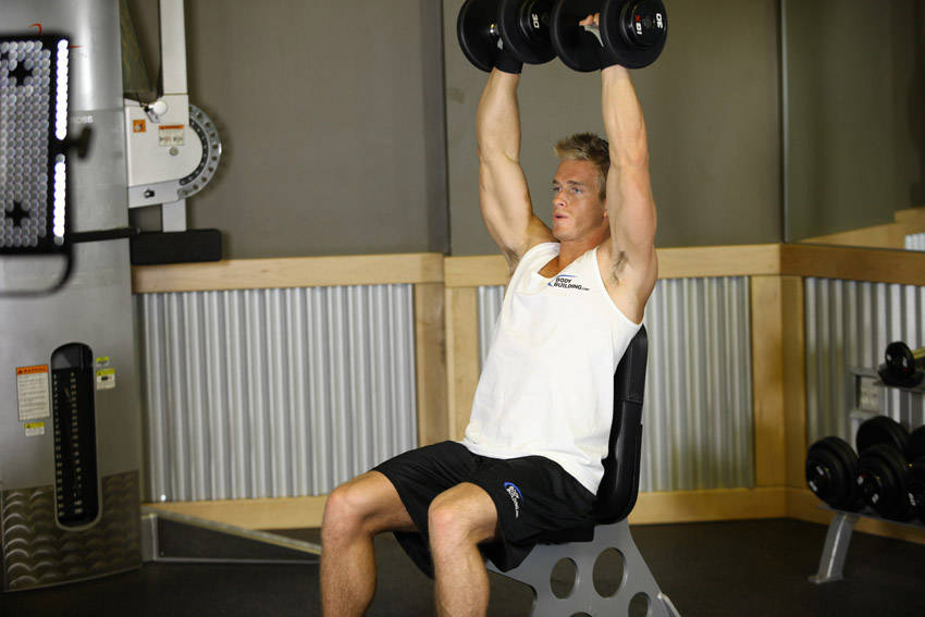 Dumbbell Press: Ending position