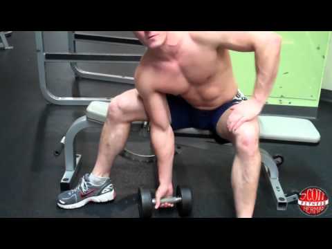 Concentration Curl video demo